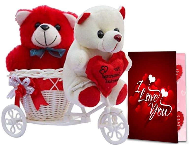 teddy with cycle