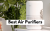 Best Air Purifiers in 2022